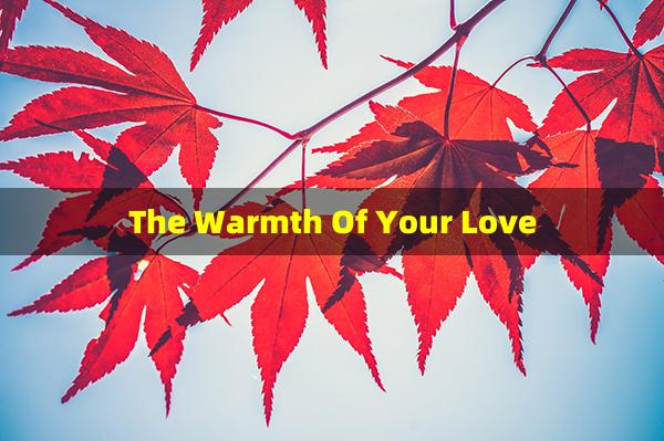 The Warmth Of Your Love